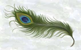 We did not find results for: Free Download Image Of Peacock Feather Wallpaper Download 3d Hd Colour Design 1920x1200 For Your Desktop Mobile Tablet Explore 50 Designer Peacock Wallpaper Discount Designer Wallpaper High End Wallpaper