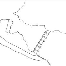 Image result for Neoholstia tenuifolia