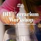 Diy Terrarium workshop event image