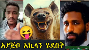 አያጅቦ 😆😂 አኪላን አሳመነው በደንብ ሄደበት 😆😆 #ayajibo #tigraytv #tigraymusic  #zaramedia #ebstv #besintu_sitcom