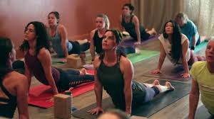 Roots Yoga Root Balance Breath