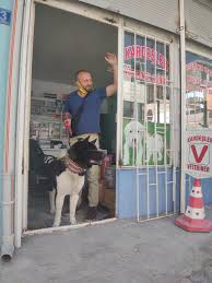 Kardesler Veteriner Klinigi Posts Facebook