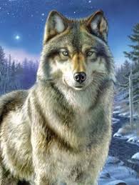 Ausmalbilder erwachsene wolf 58 elegant stock von freunde. Malvorlagen Wolf 09 Tiere Ausgestopftes Tier Tierkunst