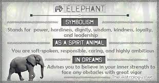 Maybe you would like to learn more about one of these? What Do Elephants Symbolize As A Spirit Animal Totem Animal White Elephant Meaning Significance Elephant Meaning Elephant Spirit Animal Elephant Symbolism