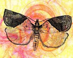 Amazing Insect Art By Gail Morrison Entomology Art Insect Art Ks3 Art