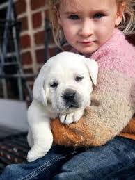 Lacey Nash's Instagram, Twitter & Facebook