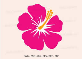 The discount should be automatically applied. Hibiscus Hawaii Flower Svg Tropical Flow Graphic By Redcreations Creative Fabrica