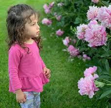 I stayed at sakura's house. 10 Ways To Get Your Kids To Love Flowers And Gardening
