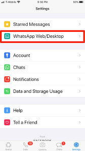 Audio, video and image file transfers. How To Use Whatsapp On An Ipad With A Browser And Iphone