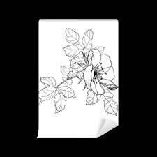 Choisir un crayon est plus subtil que vous ne pensez. Papier Peint Fleur Rose Dessin Au Crayon Pixers Nous Vivons Pour Changer