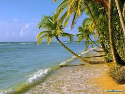Desktop wallpapers nature 3d free download. 3d Nature Wallpapers Top Free 3d Nature Backgrounds Wallpaperaccess
