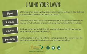 Maybe you would like to learn more about one of these? A Beginners Guide To Liming Your Lawn The Turfgrass Group Inc