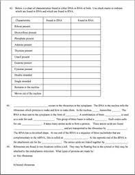 Deoxyribonucleic acid (dna) carries the sequence of coded instructions for the synthesis of proteins, which are transcribed into ribonucleic acid dna and rna are nucleic acids found in the cells of living organisms. Dna Rna Protein Synthesis Worksheet Study Guide By Amy Brown Science