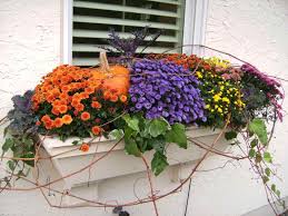 Fall flowers bring the best of autumn's harvest to our thanksgiving tabletops, fall weddings, and our autumnal floral arrangements. Fall Window Box Ideas And Pictures