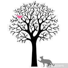 Poster Cat trying to catch a bird on a tree - PIXERS.US