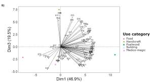 Image result for Englerina woodfordioides