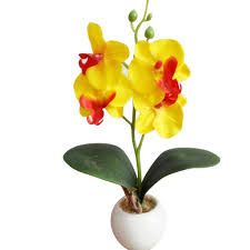 Due fiori orientali esotici del fiore fra vegetazione. Ysister Fiori Artificiali Di Orchidea Bonsai Ornamenti Creativi Accessori Per Composizioni Floreali Disposizione Dei Vasi Di Fiori Con Vaso Di Fiori Decorazione Per Finestre Di Casa Giallo Fiori Artificiali Casa E Cucina