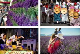 Des fêtes de la châtaigne sont organisées pendant les mois de récolte, en france et à travers le monde, dans les régions tempérées ou poussent les châtaigniers, pour célébrer ce fruit qui a nourri tant de personnes par le passé et qui fait partie intégrante du patrimoine gastronomique et culinaire. Digne Les Bains Revet Sa Robe Aux Couleurs D Or Bleu Lavande