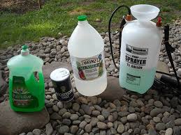 Spray the weeds growing between the block paving and wait for the mixture to dry up. Diy Vinegar Weed Killer Will Vinegar Really Kill Your Garden Weeds