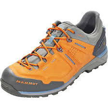 Explore the latest selection of mammut shoes today. Mammut Alnasca Low Gtx Men S Best Price Compare Deals At Pricespy Uk