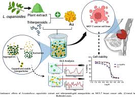Image result for Lecaniodiscus