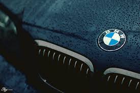 Find over 100+ of the best free bmw logo images. 48 Bmw Logo Hd Wallpaper On Wallpapersafari