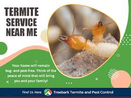 Deal with the pests issues and protect your home from unwanted guest. Termite Service Near Me Termites Termite Control Types Of Insects