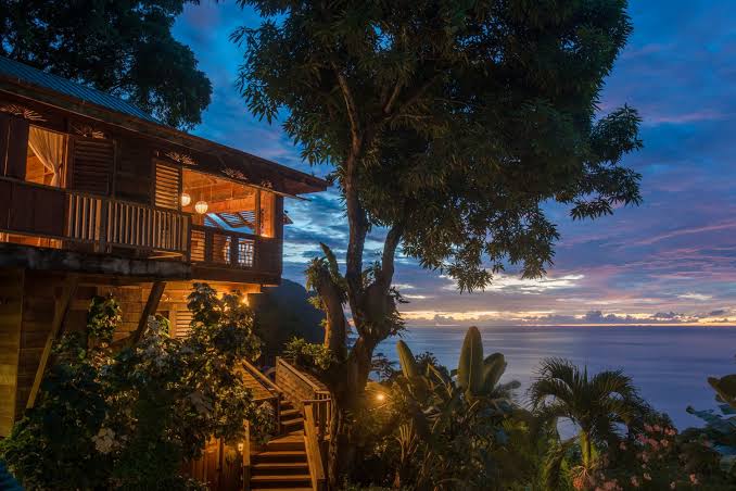 Birdsong - Our Retreats - Castara Retreats