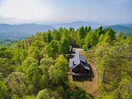 Maybe you would like to learn more about one of these? Christmas Tree Cabin Greybeard Rentals