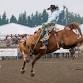 Enumclaw Pro Rodeo