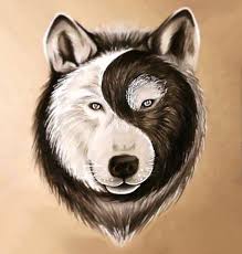Best Yin Yang Wolf Face Tattoo Design Wolf Face Wolf Face Tattoo Yin Yang Wolf
