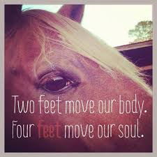Two Feet Move Your Body Four Feet Move Your Soul Two Feet Move Our Body Four Feet Move Our Soul Horses Inspirational Horse Quotes Horse Quotes