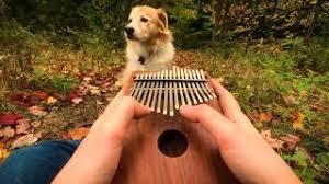La Vie En Rose On A Kalimba Read unlimited* books and audiobooks, and sheet music on the web, ipad, iphone and editor's note. mel s video of the day mvotd com