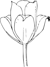 Black and white, bud, flower, tulip, tulip bud. Free Clipart Tulip Flower Johnny Automatic
