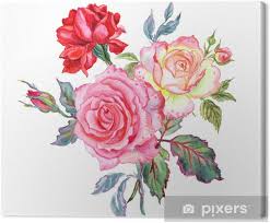 Mazzi di fiori con 118 prodotti. Quadro Su Tela Mazzo Di Rose Acquerello Disegno Su Sfondo Bianco Isolato Pixers Viviamo Per Il Cambiamento