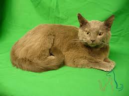 Use the petbarn store locator to find the specialty pet store nearest you. Freeze Dry Pricing Second Life Freeze Dry