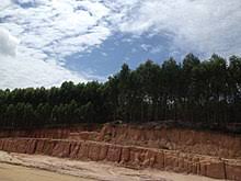 Tujuan adalah untuk memenuhi tenaga kerja dalam bidang industri negara. Sinar Mas Group Wikipedia