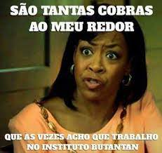 Listen to music from butantan like b.o.y. Sao Tantas Cobras Ao Meu Redor Que As Vezes Acho Que Trabalho No Instituto Butantan Frases E Imagens Engracadas Frases Debochada Memes
