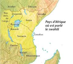 Carte Des Pays D Afrique Ou Est Parle Le Swahili Swahili Swahili Tattoo African Countries