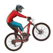 Ride On A Sports Bicycle Vector And Png Bicycle Bicycle Illustration Bike Illustration