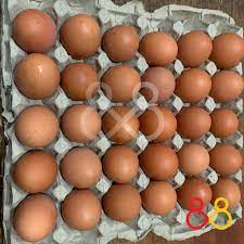 Check spelling or type a new query. Telur Ayam Negeri 1 Peti Telur Ayam Kualitas Bagus 15kg Shopee Indonesia