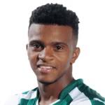 Statistiques et notes de Darwin Andrade