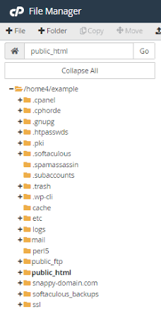 Locating the public_html root directory, AI generated