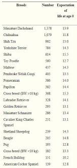 We definitely want them to stay with us as long as they can. 20 Shortest Lifespan Dog Breeds Based On Studies