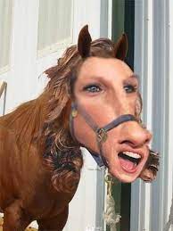 Maybe you would like to learn more about one of these? Sarah Jessica Parker The Mystical Foot Horse Startseite Facebook