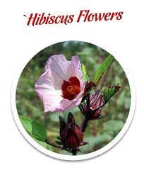 All natural and deliciously edible hibiscus flowers in a cane sugar syrup. Our Flowers And Farms Wild Hibiscus Flower Co