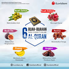 Dilihat dari luar, tampilan buah ini sama sekali tidak menarik, warnanya hijau (putih ketika sudah matang) dan ada afghani berasal dari negara afghan. 6 Buah Buahan Yang Disebut Dalam Al Quran Iluvislam