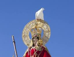 Imagenes de palomas blancas y celestes. Una Paloma Posada Sobre La Virgen Causa Sensacion En El Regreso Al Santuario Hoy