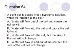 If an animal cell were placed in a hypotonic solution the likeliest result would be. North Carolina End Of Course Coach For Biology Ppt Download