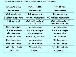 Maybe you would like to learn more about one of these? Cell Organelles Fill In The Blanks As You View The Power Point Ppt Video Online Download